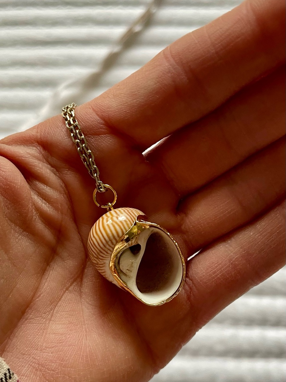 Gold-Trimmed Sea Shell Necklace on Sterling Silver Chain